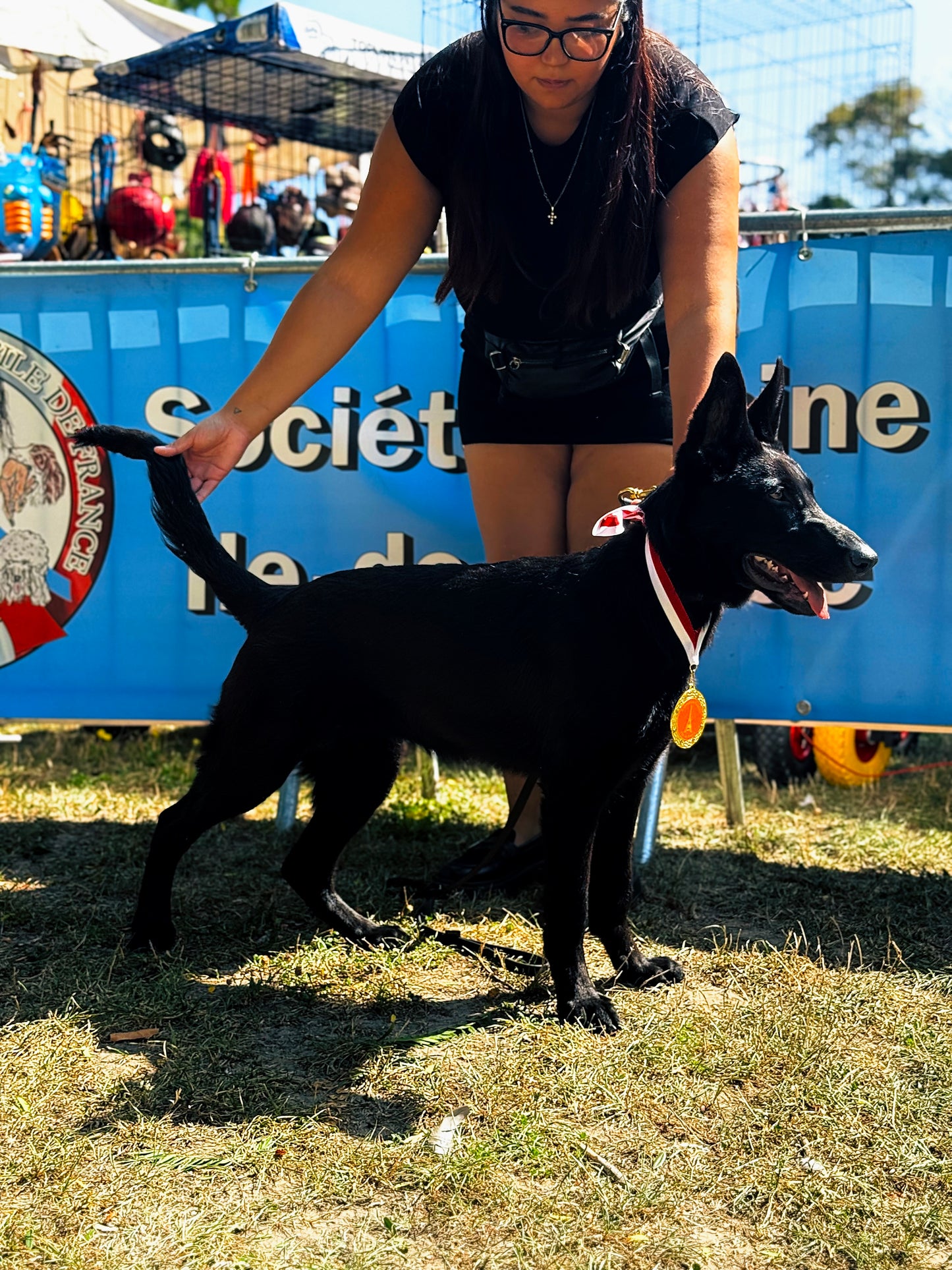 Bagheera